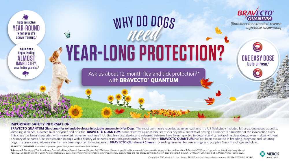 Bravecto Quantum